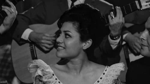 Un yucateco honoris causa Bild 1