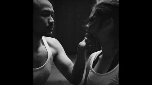 A Choreography of Violence Bild 2