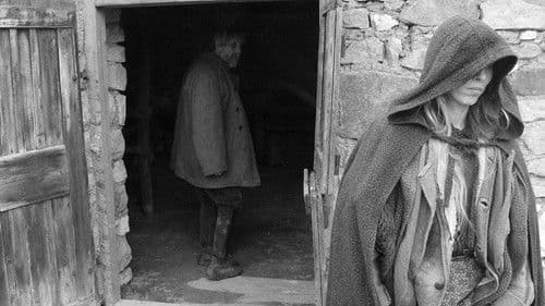 Das Turiner Pferd Bild 6