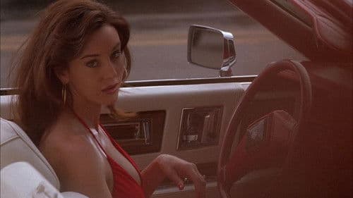 On the Border Bild 8