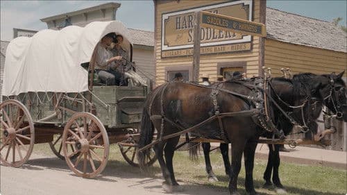 Sod and Stubble Bild 1