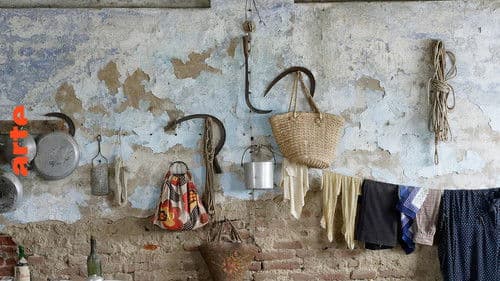 Pflügen, ackern, kämpfen: Die Geschichte der Bauern Bild 3