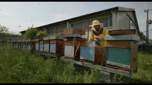 Una passione dirompente Bild 1