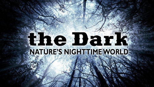 The Dark: Nature's Nighttime World Bild 2