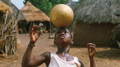 Bando und der goldene Fußball Bild 4