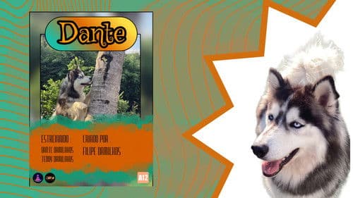 Show de Dante Bild 1