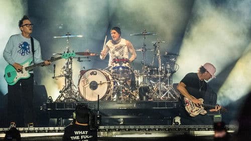 blink-182: Live at Lollapalooza Bild 4