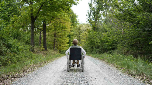 The Nest (Il nido) Bild 5