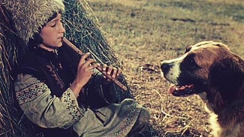 Андриеш Bild 4