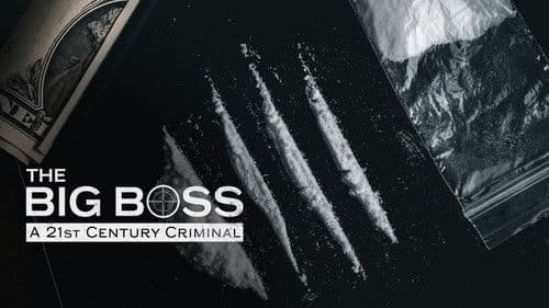 The Big Boss: A 21st Century Criminal Bild 3