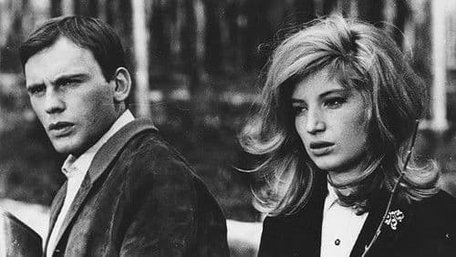 Ein Schloß in Schweden Bild 3