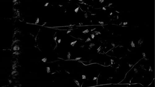 Gojira: Live at Garorock Bild 1