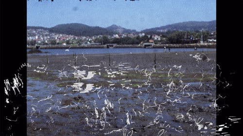 Tatuado nos ollos levamos o pouso Bild 1