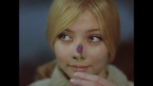 Берег принцессы Люськи Bild 4