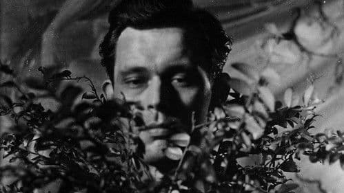 In Search of Avery Willard Bild 2