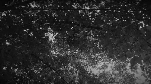 kibrit kutusu Bild 1