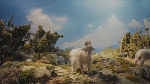 Louis I., König der Schafe Bild 1