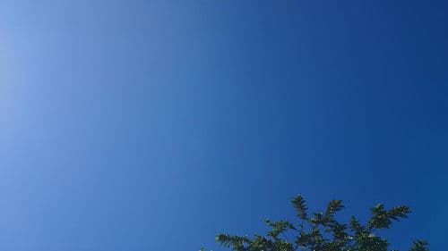 A Pílula Azul Bild 2