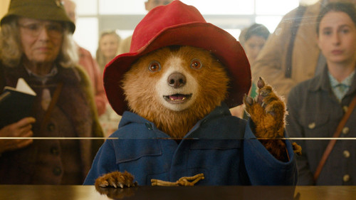 Paddington in Peru Bild 3