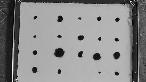 La Casa de Cortés Bild 2