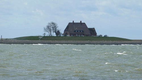 Die Halligen im Wattenmeer Bild 4