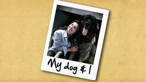 Год собаки Bild 2