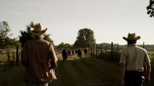 Talking About the Sky Bild 2