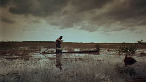 Sumpf unter den Füßen Bild 7