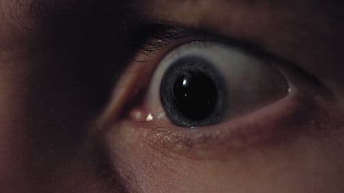 Tonight It's You Bild 3