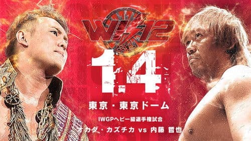 NJPW Wrestle Kingdom 12 Bild 6