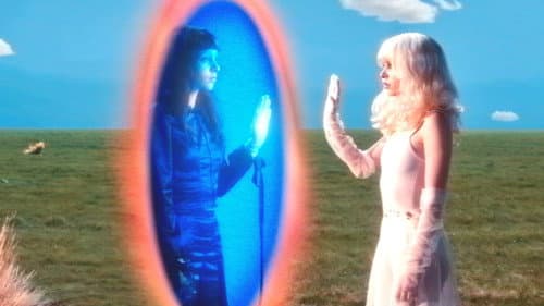 Imaginal Disk Bild 2