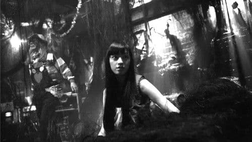 Exte: Hair Extensions Bild 8