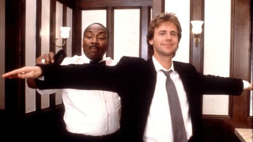 Der Unglücksritter Bild 2