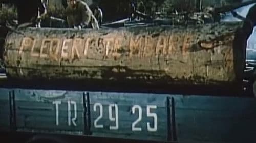 Zemra qe nuk plaken Bild 1