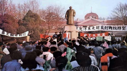 妈妈，你在哪里 Bild 2