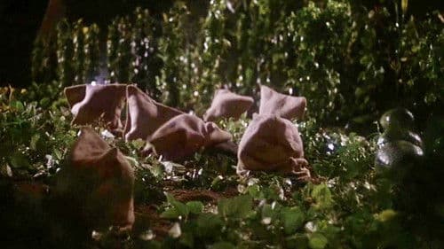 Hotel zur Hölle Bild 6