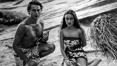 … dann kam der Orkan Bild 1