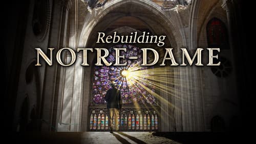 Rebuilding Notre-Dame Bild 1