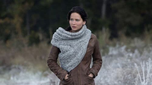 Die Tribute von Panem - Catching Fire Bild 7