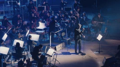 Benjamin Biolay Symphonique Bild 2