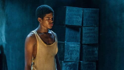 Der König von Havanna Bild 6