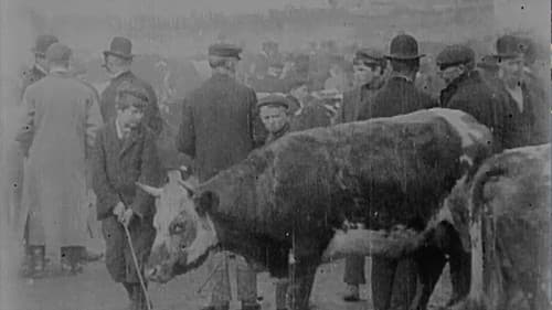 Cattle Market in Derry Bild 1