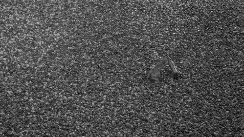 Schwarzer Kies Bild 6