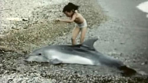 მეტიჩარა Bild 1