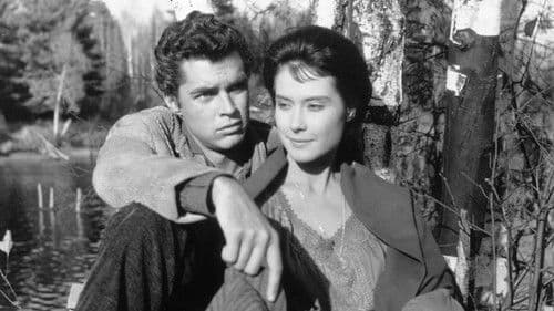 Hemingways Abenteuer eines jungen Mannes Bild 1