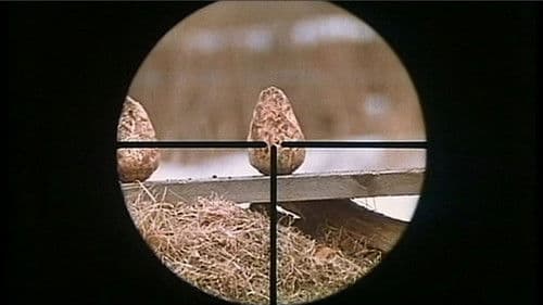 Die weiße Löwin Bild 2