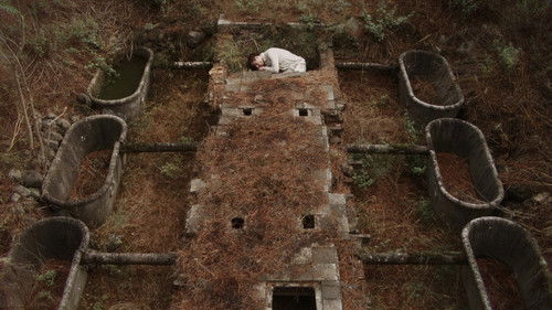 Νοτούρνο Bild 2