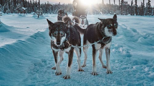 Snow Dogs: Into the Wild Bild 1