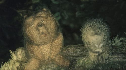 Der Igel im Nebel Bild 3