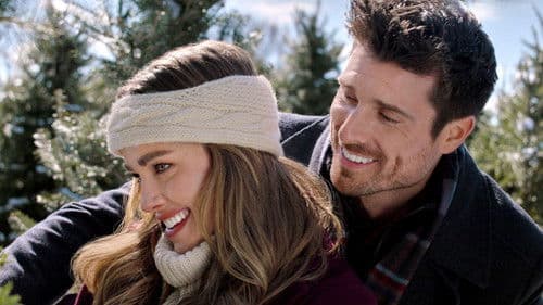 Weihnachts-Einsatz in 4 Wänden Bild 3